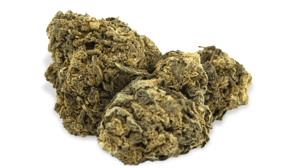GORILLA GLUE - Tulip Botanics GORILLA 1 Tulip Botanics CBD at bargain prices