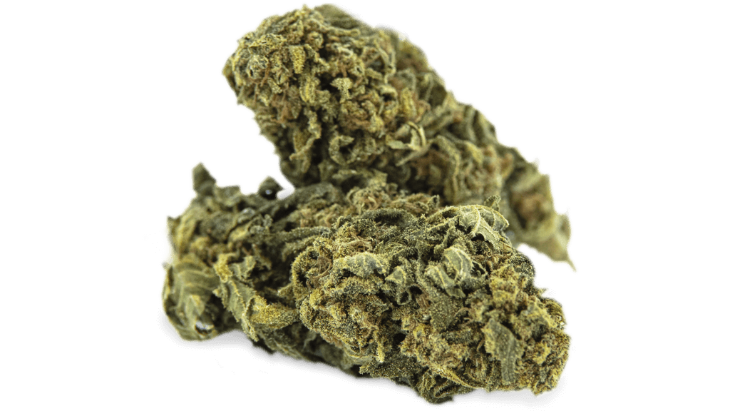 GRAPEFRUIT - Tulip Botanics GRAPEFRUIT 1 Tulip Botanics CBD at bargain prices