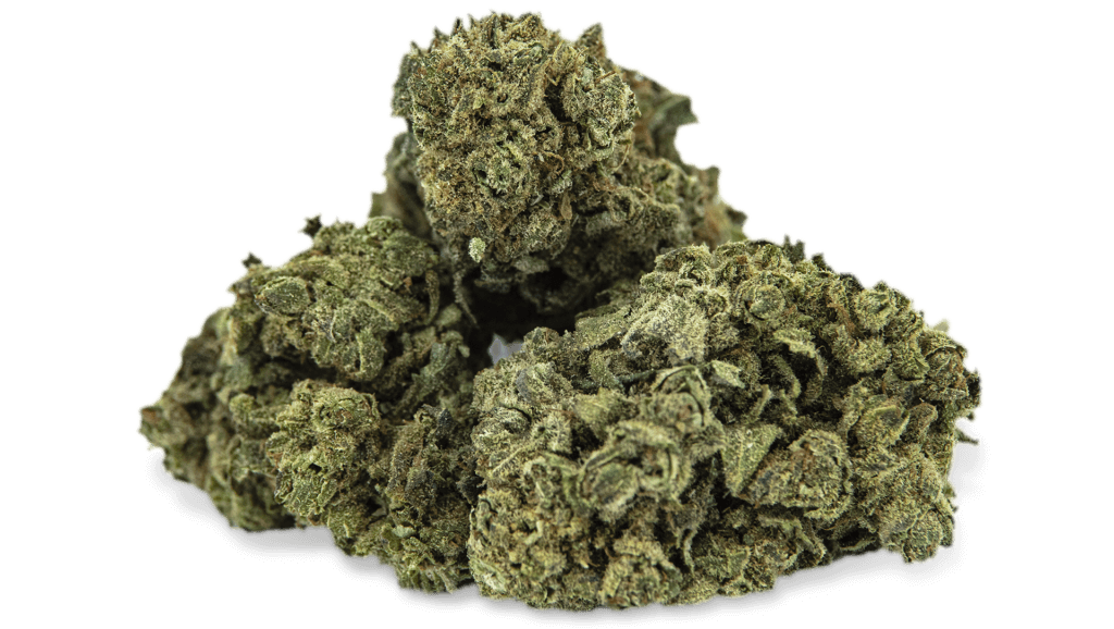 WHITE WIDOW - Tulip Botanics whitewidow 1 Tulip Botanics CBD at bargain prices