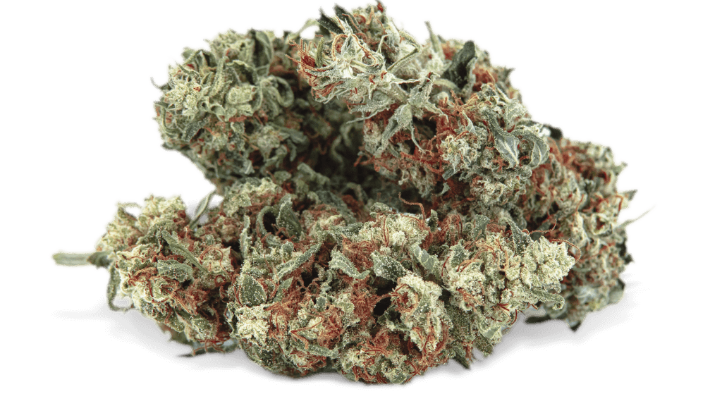 CRITICAL CBG - Tulip Botanics CRITICALCBG Tulip Botanics CBD at bargain prices