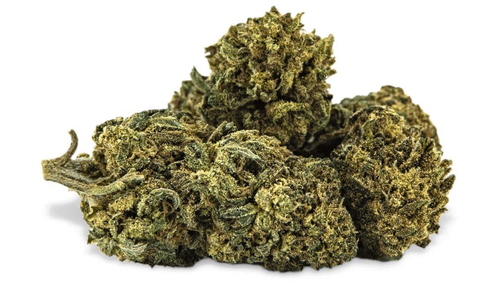 KUSH - Tulip Botanics KUUSH Tulip Botanics CBD at bargain prices