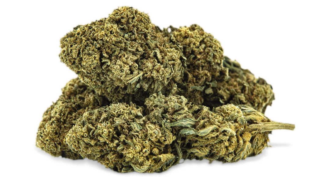 SUPER SKUNK - Tulip Botanics SUPERSKUNK Tulip Botanics CBD at bargain prices